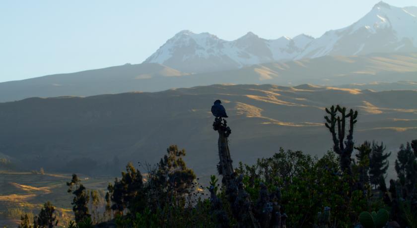 Eco Inn Colca Yanque Exterior photo