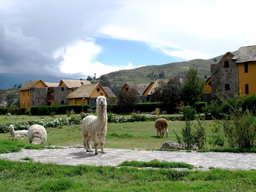 Eco Inn Colca Yanque Exterior photo